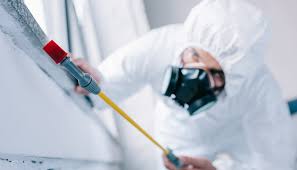 Reliable Laconia, NH Pest control Solutions